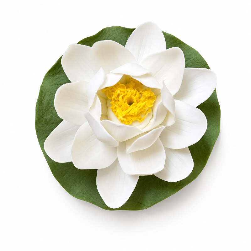 Lotus Incense Holder photo